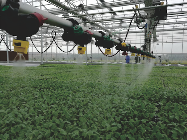 蕭山農科所現代農業示范基地.png 蕭山農科所現代農業示范基地.png