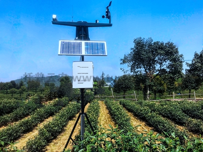 1_202103091143401881.jpg 1_202103091143401881.jpg